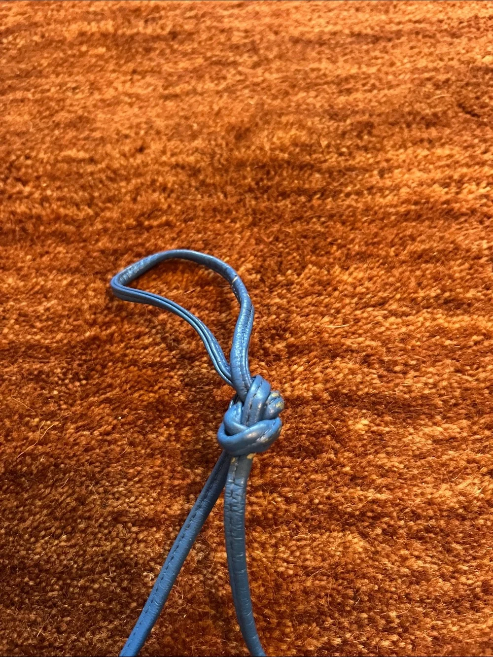 VTG Carlos Falchi Blue Leather Crossbody Bag